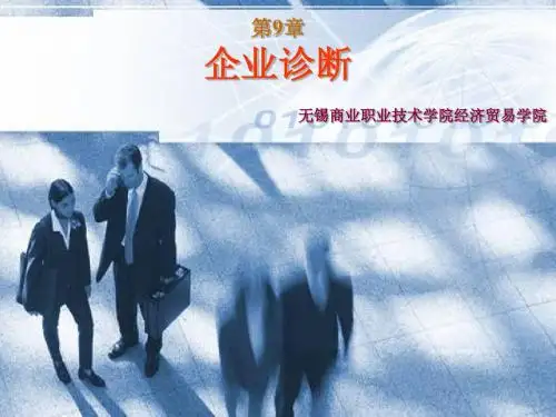 第9章 企业诊断