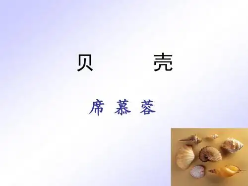 《贝壳》优秀课件