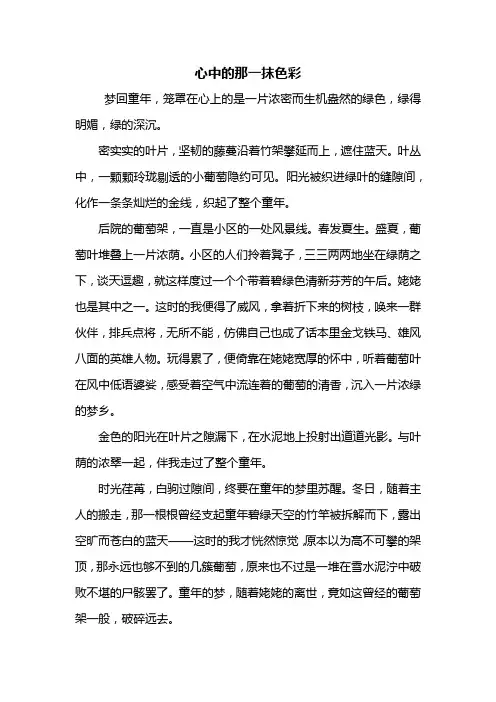 初三作文：心中的那一抹色彩作文600字