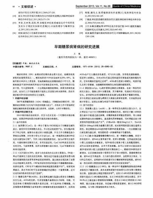 早期糖尿病肾病的研究进展