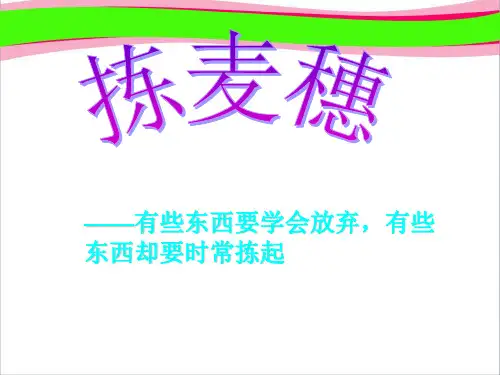 高中语文获奖课件 第11课《拣麦穗》课件 粤教版必修1
